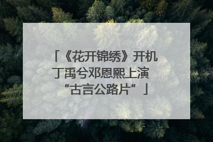 《花开锦绣》开机 丁禹兮邓恩熙上演“古言公路片”