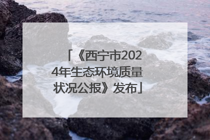 《西宁市2024年生态环境质量状况公报》发布