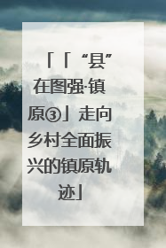 「“县”在图强·镇原③」走向乡村全面振兴的镇原轨迹