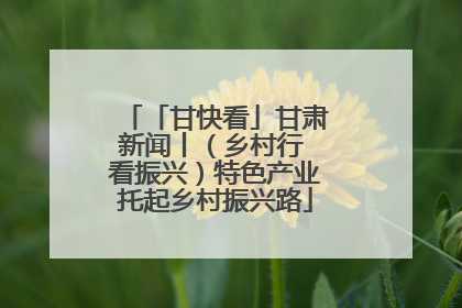 「甘快看」甘肃新闻丨（乡村行 看振兴）特色产业托起乡村振兴路