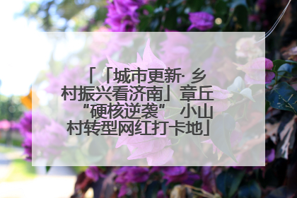 「城市更新· 乡村振兴看济南」章丘“硬核逆袭” 小山村转型网红打卡地