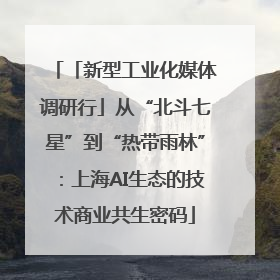 「新型工业化媒体调研行」从“北斗七星”到“热带雨林”：上海AI生态的技术商业共生密码