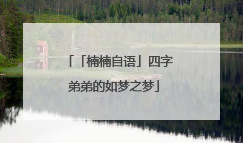 「楠楠自语」四字弟弟的如梦之梦