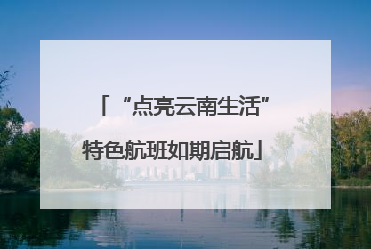 “点亮云南生活”特色航班如期启航