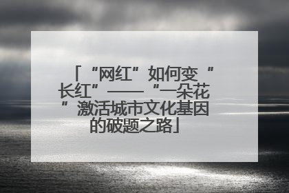 “网红”如何变“长红”——“一朵花”激活城市文化基因的破题之路