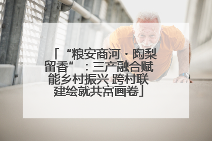 “粮安商河・陶梨留香”：三产融合赋能乡村振兴 跨村联建绘就共富画卷