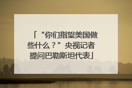 “你们指望美国做些什么？”央视记者提问巴勒斯坦代表