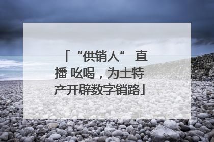 “供销人” 直播 吆喝，为土特产开辟数字销路