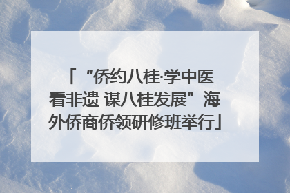 “侨约八桂·学中医 看非遗 谋八桂发展”海外侨商侨领研修班举行