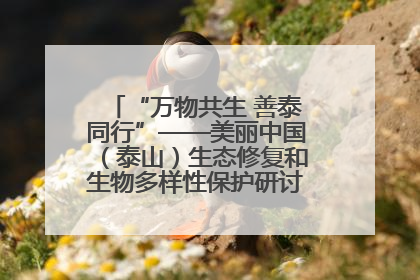 “万物共生 善泰同行”——美丽中国（泰山）生态修复和生物多样性保护研讨会成功举办