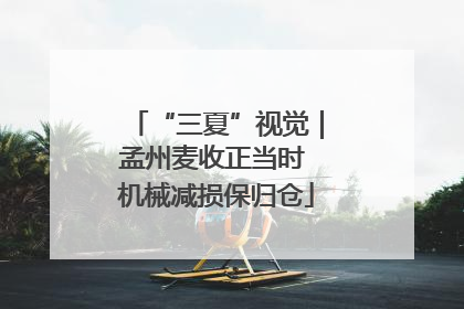 “三夏”视觉｜孟州麦收正当时 机械减损保归仓
