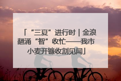 “三夏”进行时｜金浪翻涌“智”收忙——我市小麦开镰收割见闻