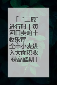 “三夏”进行时｜黄河口奏响丰收乐章——全市小麦进入大面积收获高峰期