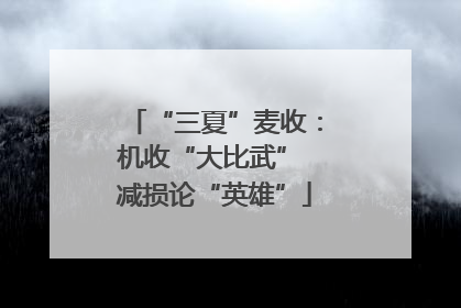 “三夏”麦收：机收“大比武” 减损论“英雄”