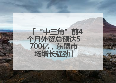 “中三角”前4个月外贸总额达5700亿，东盟市场增长强劲