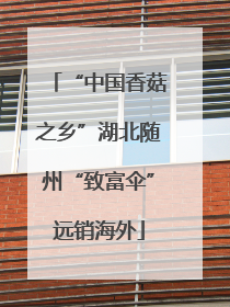 “中国香菇之乡”湖北随州“致富伞”远销海外