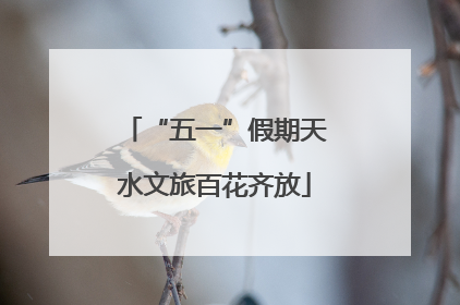 “五一”假期天水文旅百花齐放