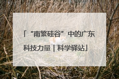 “南繁硅谷”中的广东科技力量｜科学驿站