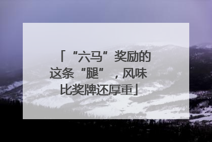 “六马”奖励的这条“腿”，风味比奖牌还厚重