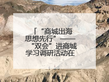 “商城出海 思想先行”——“双会”进商城学习调研活动在临沂顺利开展