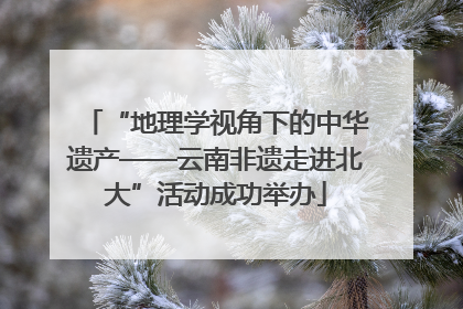 “地理学视角下的中华遗产——云南非遗走进北大”活动成功举办