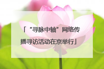 “寻脉中轴”网络传播寻访活动在京举行