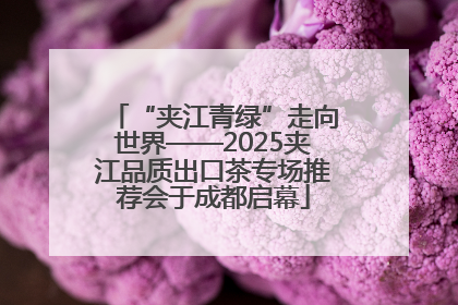 “夹江青绿”走向世界——2025夹江品质出口茶专场推荐会于成都启幕