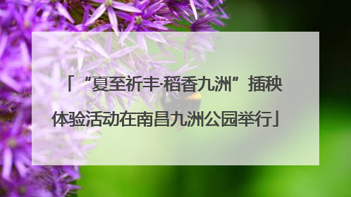 “夏至祈丰·稻香九洲”插秧体验活动在南昌九洲公园举行