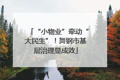 “小物业”牵动“大民生”！舞钢市基层治理显成效