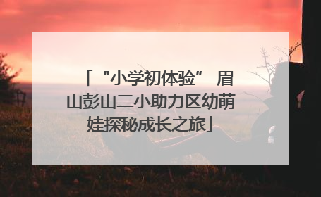 “小学初体验” 眉山彭山二小助力区幼萌娃探秘成长之旅