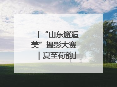 “山东邂逅美”摄影大赛｜夏至荷韵