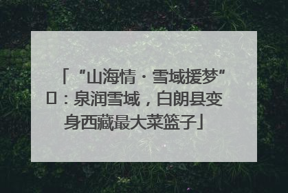 “山海情・雪域援梦”⑪：泉润雪域，白朗县变身西藏最大菜篮子