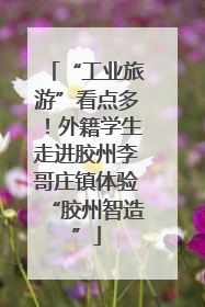 “工业旅游”看点多！外籍学生走进胶州李哥庄镇体验“胶州智造”