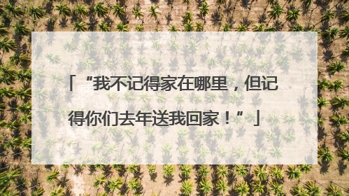 “我不记得家在哪里，但记得你们去年送我回家！”