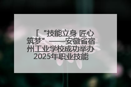 “技能立身 匠心筑梦”——安徽省宿州工业学校成功举办2025年职业技能活动周各项活动