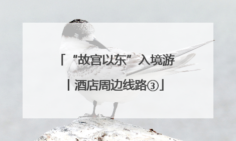 “故宫以东”入境游丨酒店周边线路③