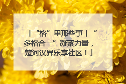 “格”里那些事丨“多格合一”凝聚力量，楚河汉界乐享社区！