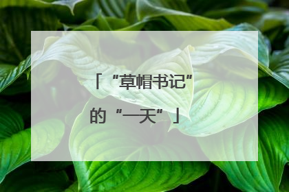 “草帽书记”的“一天”