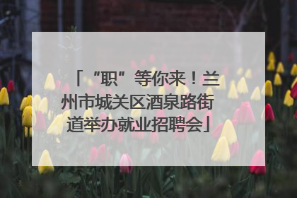 “职”等你来！兰州市城关区酒泉路街道举办就业招聘会