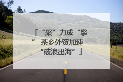 “聚”力成“擎” 茶乡外贸加速“破浪出海”