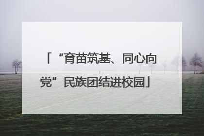 “育苗筑基、同心向党”民族团结进校园