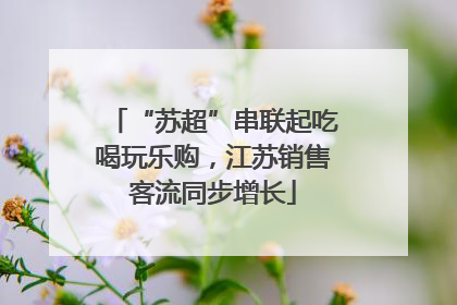 “苏超”串联起吃喝玩乐购，江苏销售客流同步增长