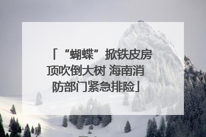 “蝴蝶”掀铁皮房顶吹倒大树 海南消防部门紧急排险