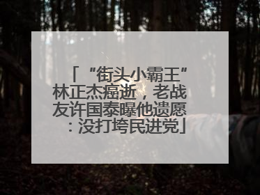 “街头小霸王”林正杰癌逝，老战友许国泰曝他遗愿：没打垮民进党