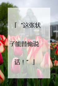 “这张状子能替俺说话！”