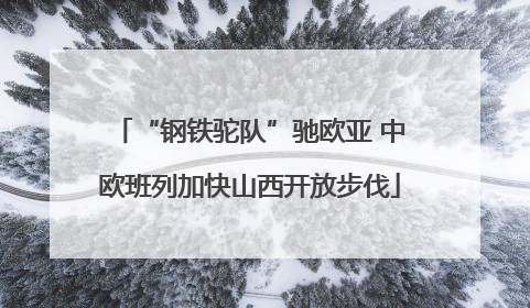 “钢铁驼队”驰欧亚 中欧班列加快山西开放步伐