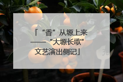 “香”从塬上来——“大塬长歌”文艺演出侧记