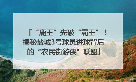 “鹿王”先破“霸王”！揭秘盐城3号球员进球背后的“农民街游侠”联盟