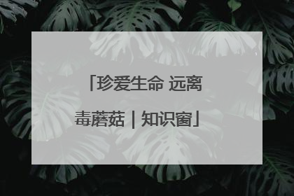 珍爱生命 远离毒蘑菇｜知识窗