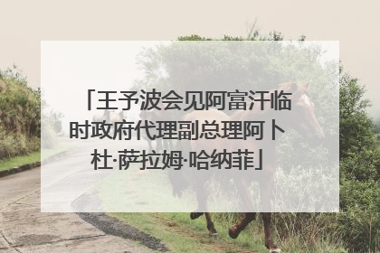 王予波会见阿富汗临时政府代理副总理阿卜杜·萨拉姆·哈纳菲